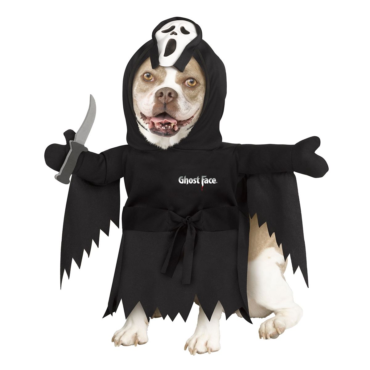 Ghost Face Pet Costume BLACK