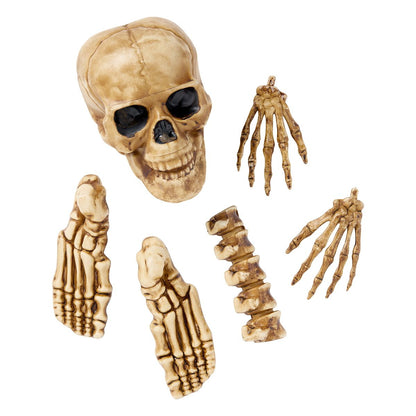 12-Piece Bag of Decaying Bones