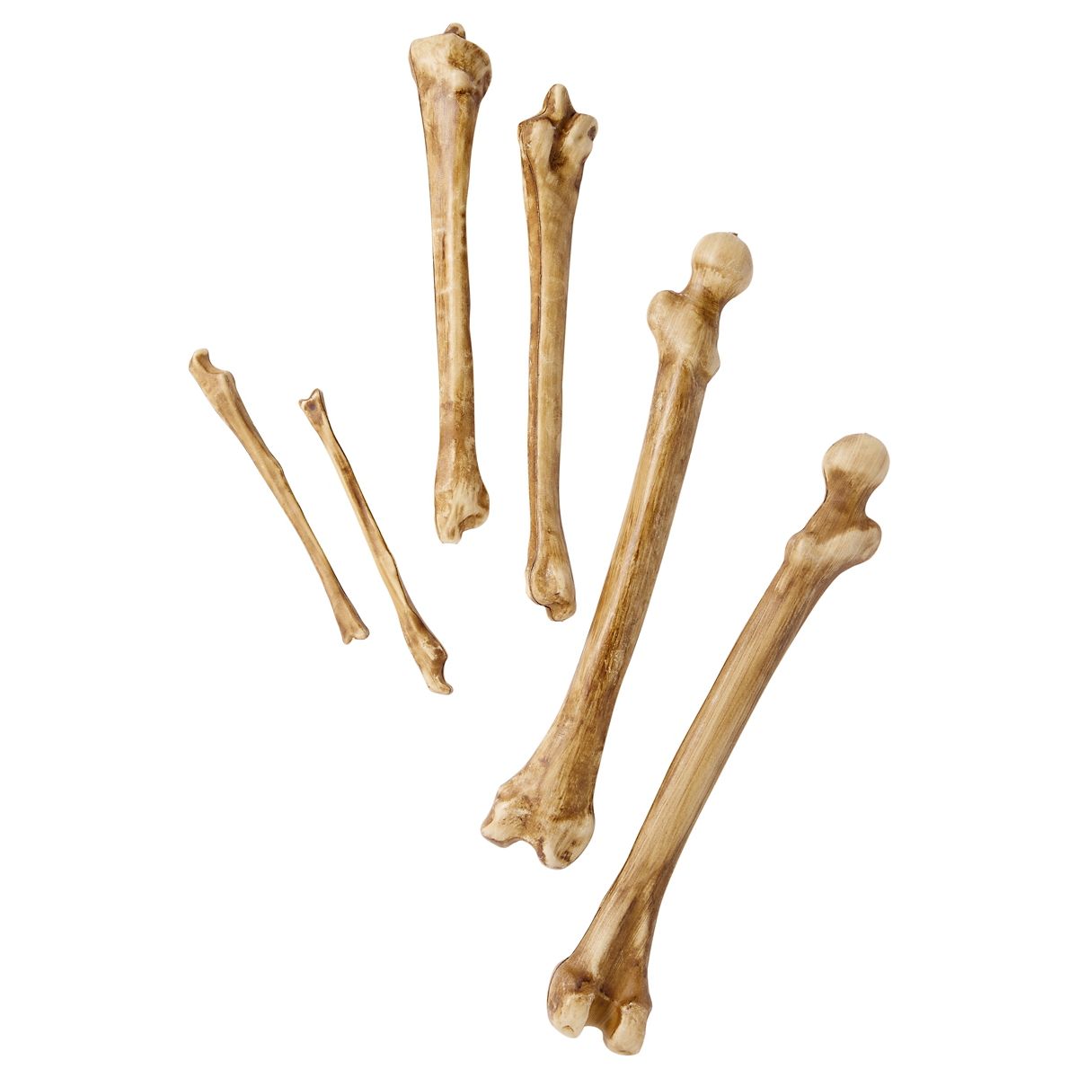 12-Piece Bag of Decaying Bones