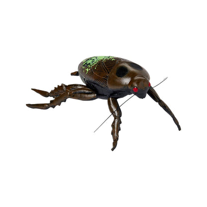 Zombie Cockroach Static Prop MULTI-COLOR