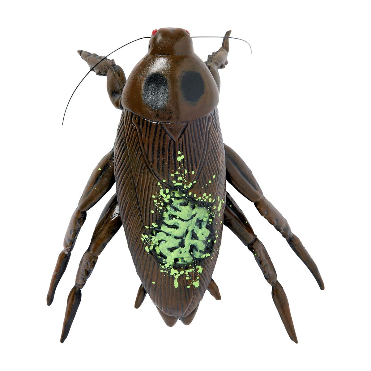 Zombie Cockroach Static Prop MULTI-COLOR