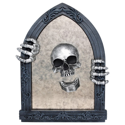 Skull Mirror Sign MULTI-COLOR