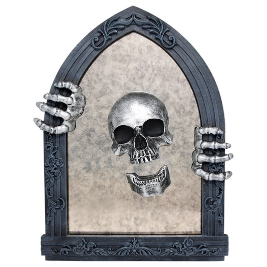 Skull Mirror Sign MULTI-COLOR