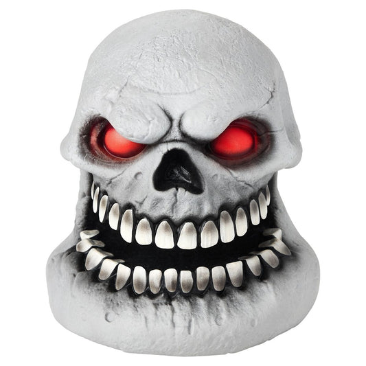 Skull Talking Head MULTI-COLOR