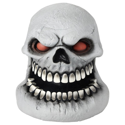Skull Talking Head MULTI-COLOR