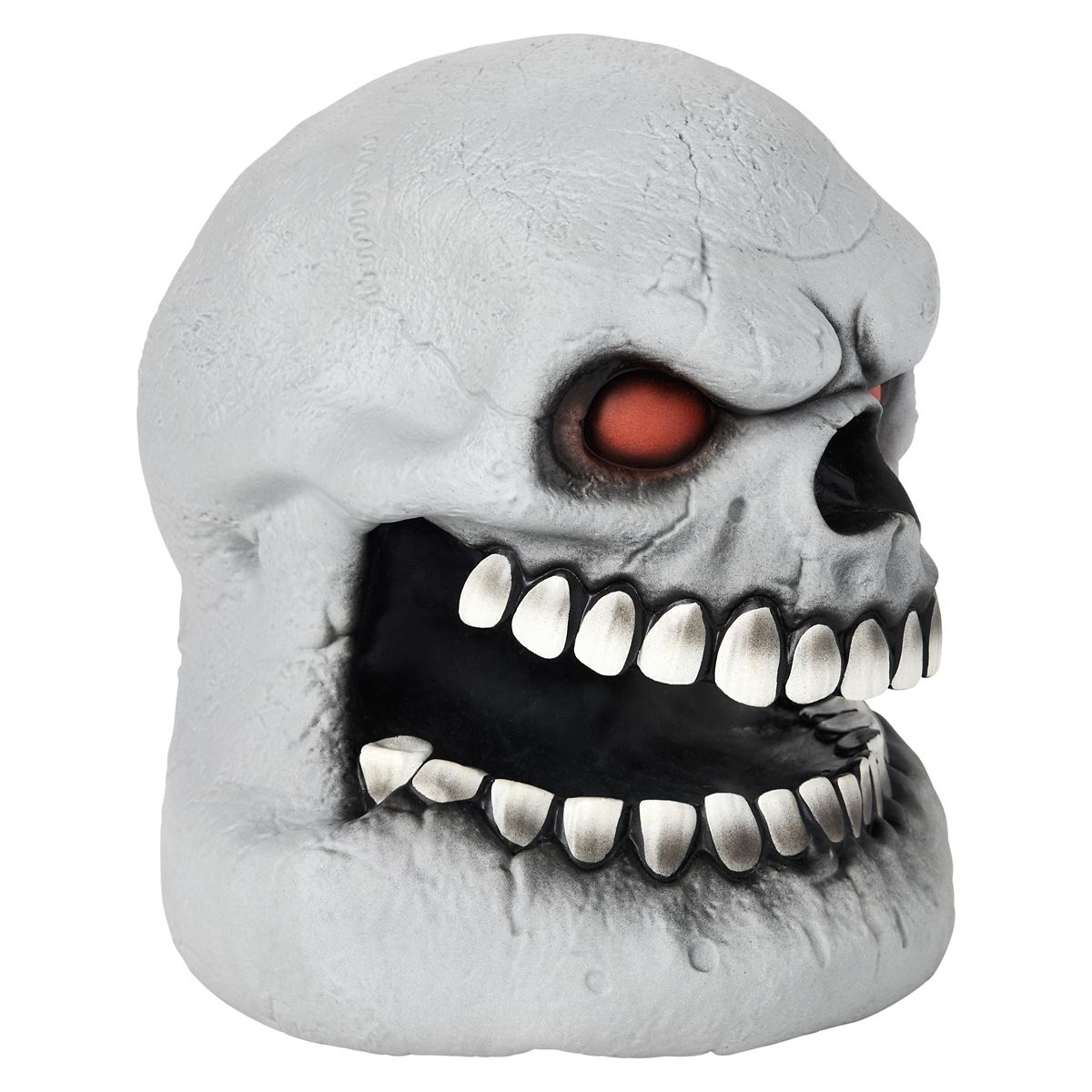 Skull Talking Head MULTI-COLOR