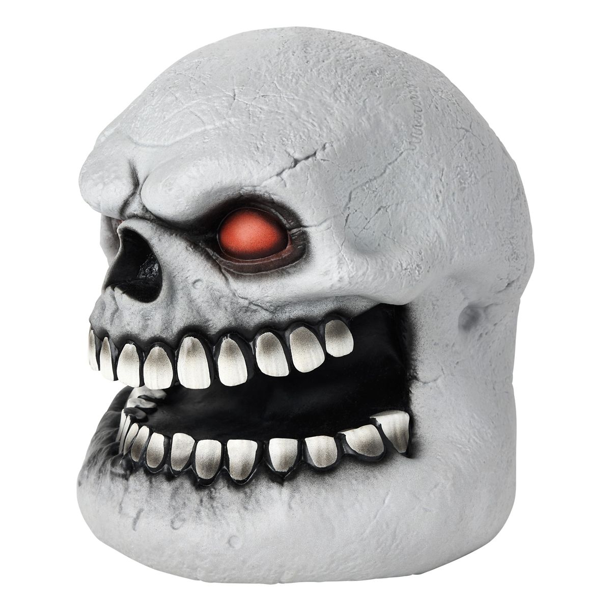 Skull Talking Head MULTI-COLOR