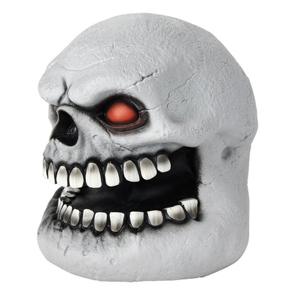 Skull Talking Head MULTI-COLOR