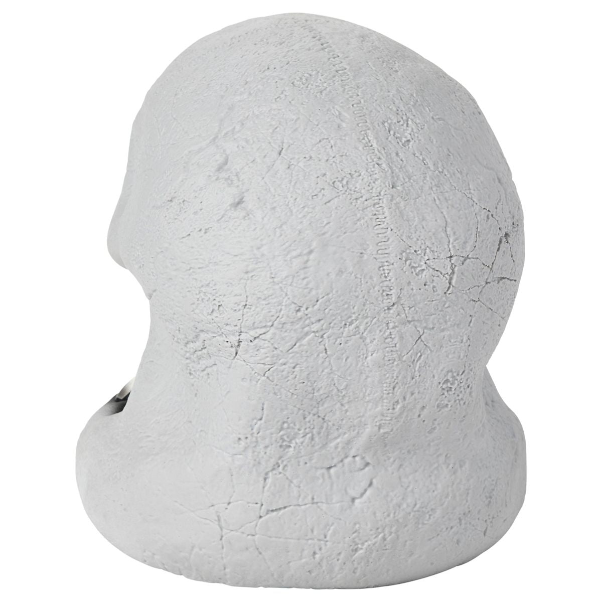 Skull Talking Head MULTI-COLOR