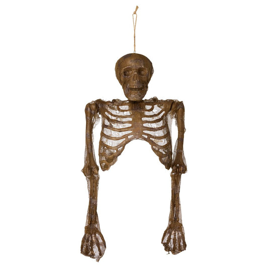 Hanging Decaying Skeleton Half Body