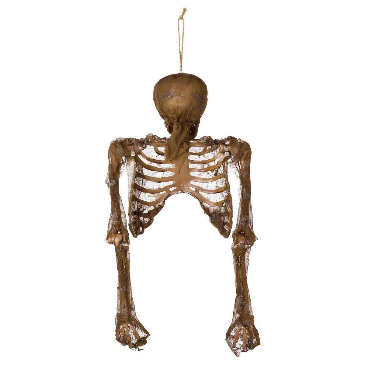 Hanging Decaying Skeleton Half Body