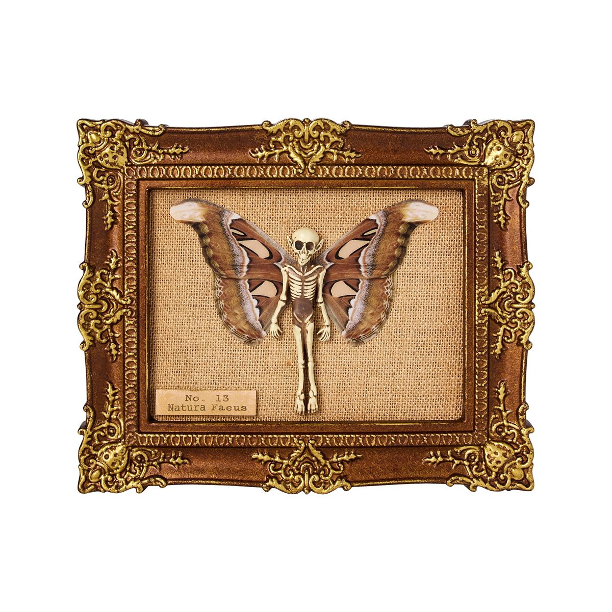 Fairy Skeleton Sign MULTI-COLOR
