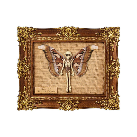 Fairy Skeleton Sign MULTI-COLOR