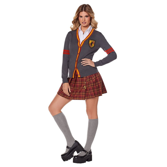 Adult Gryffindor Sweater - Harry Potter GRAY