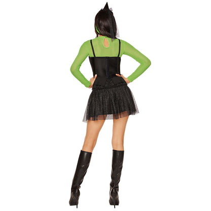 Adult Wicked Witch Costume - The Wizard of Oz BLACK AND GREEN