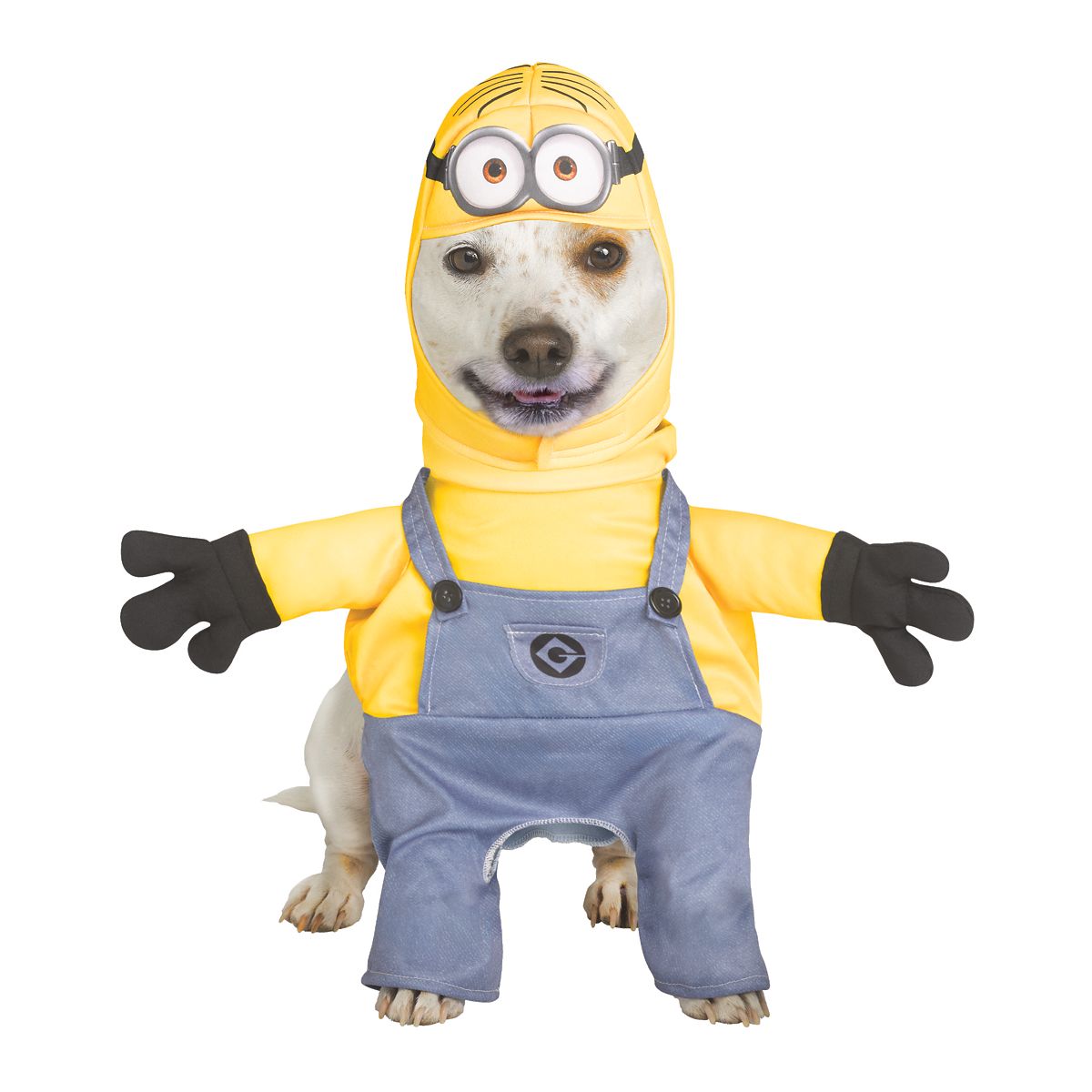 Minion Dave Dog Costume - Despicable Me BLUE/YELLOW