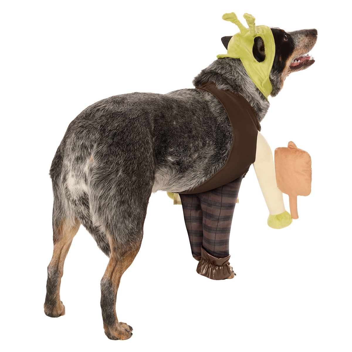 Shrek Pet Costume GREEN