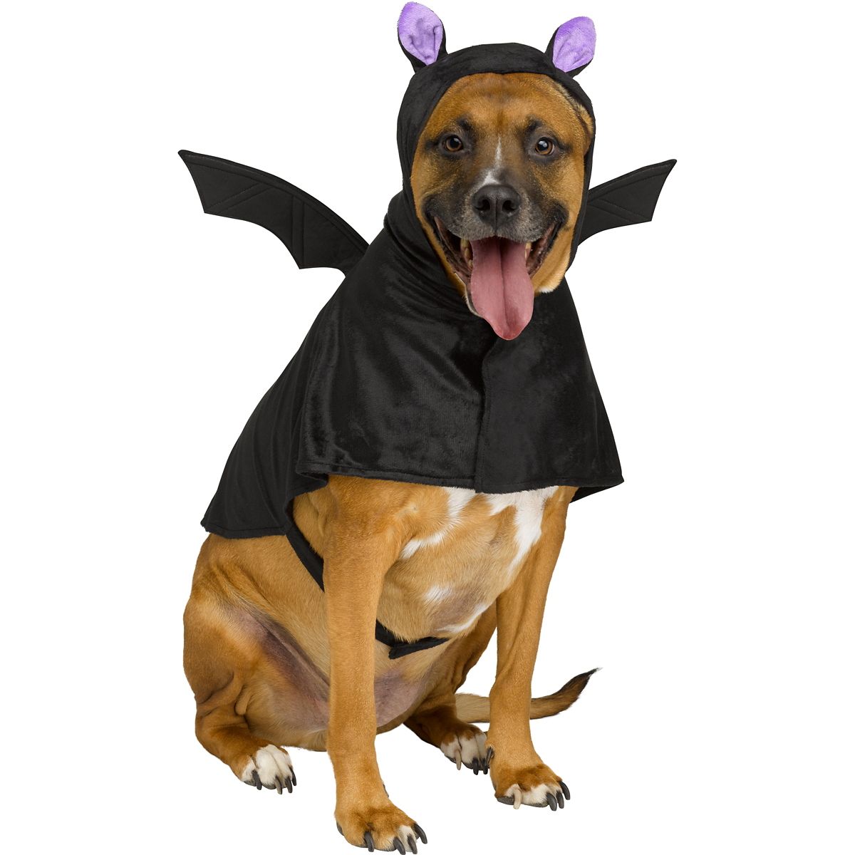 Bat Pet Costume BLACK AND PURPLE