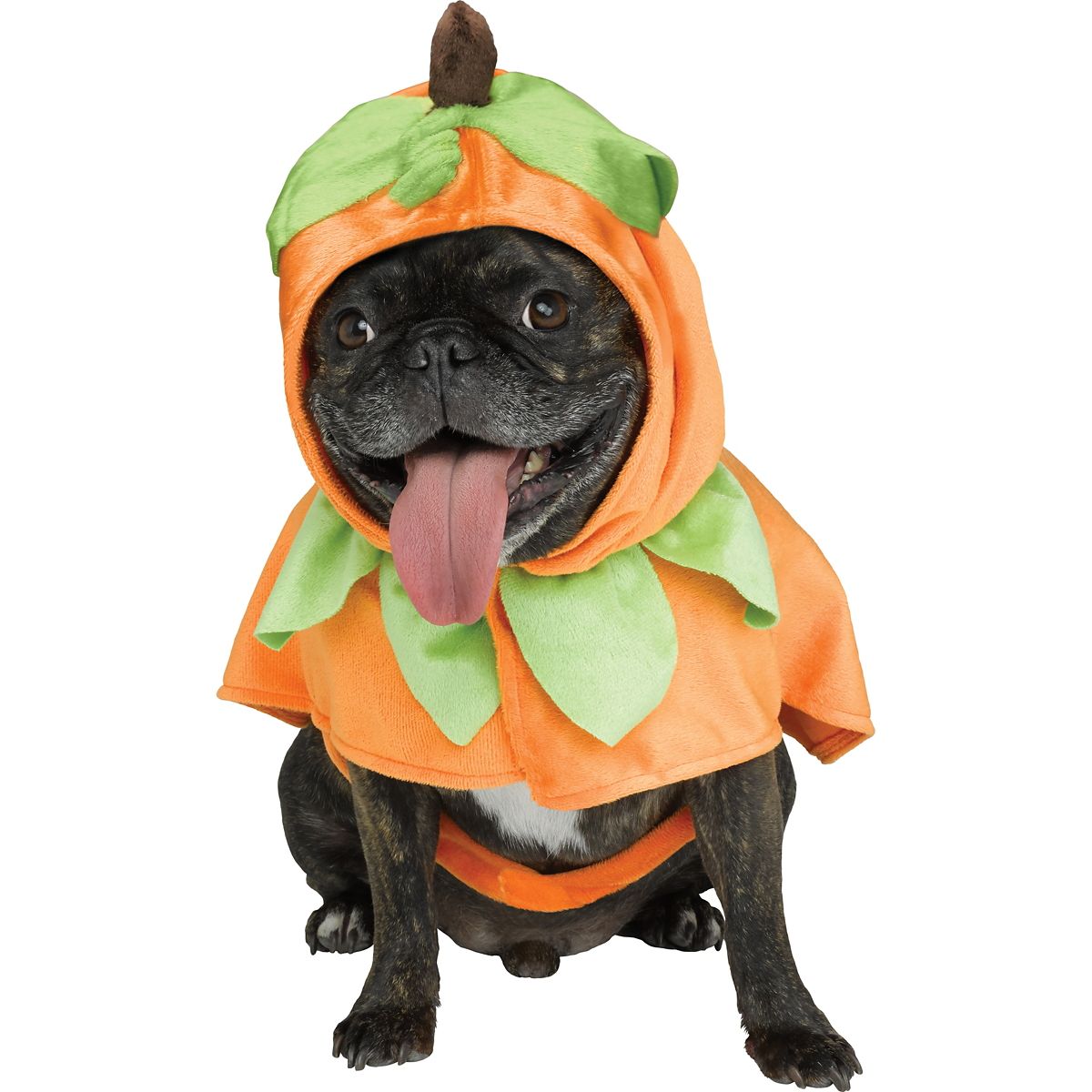 Pumpkin Pet Costume ORANGE/GREEN
