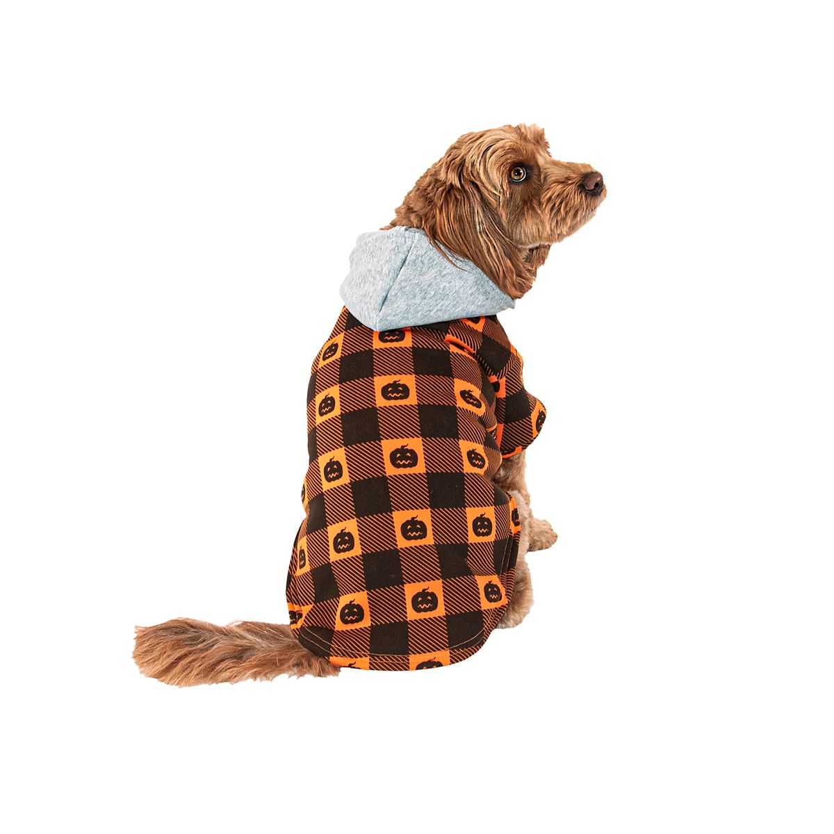 Pumpkin Pet Hooded Flannel BLACK AND ORANGE
