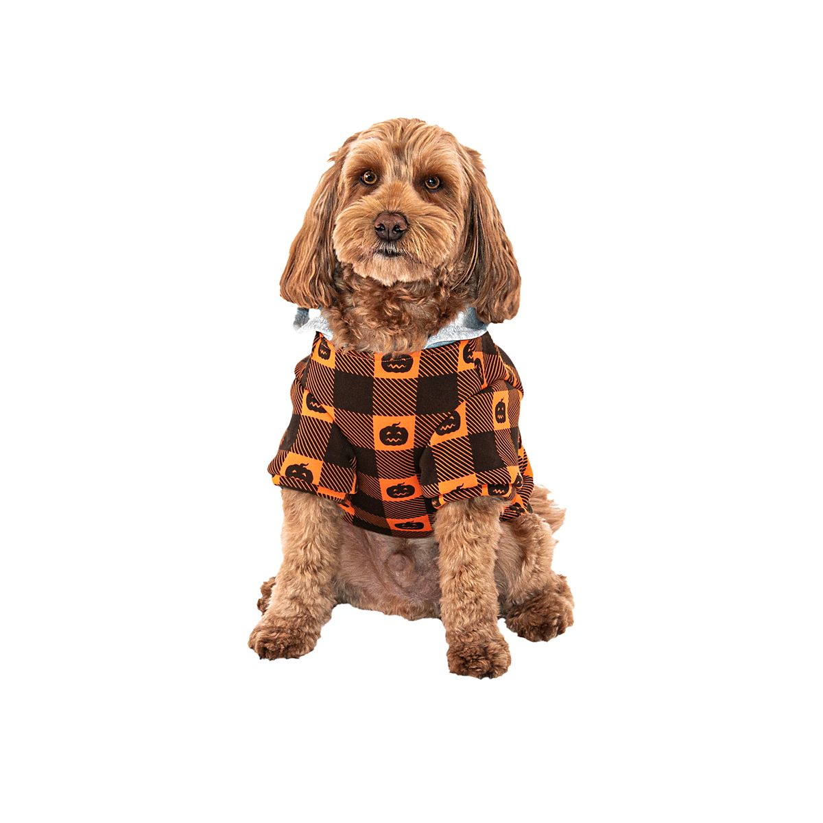 Pumpkin Pet Hooded Flannel BLACK AND ORANGE