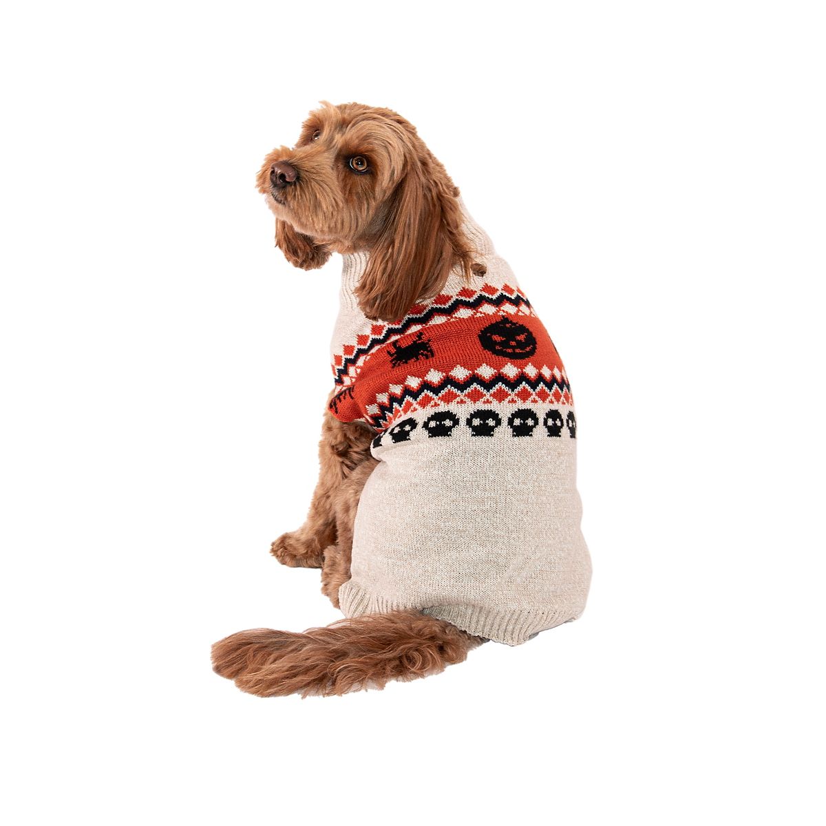 Pumpkin Pet Sweater BEIGE