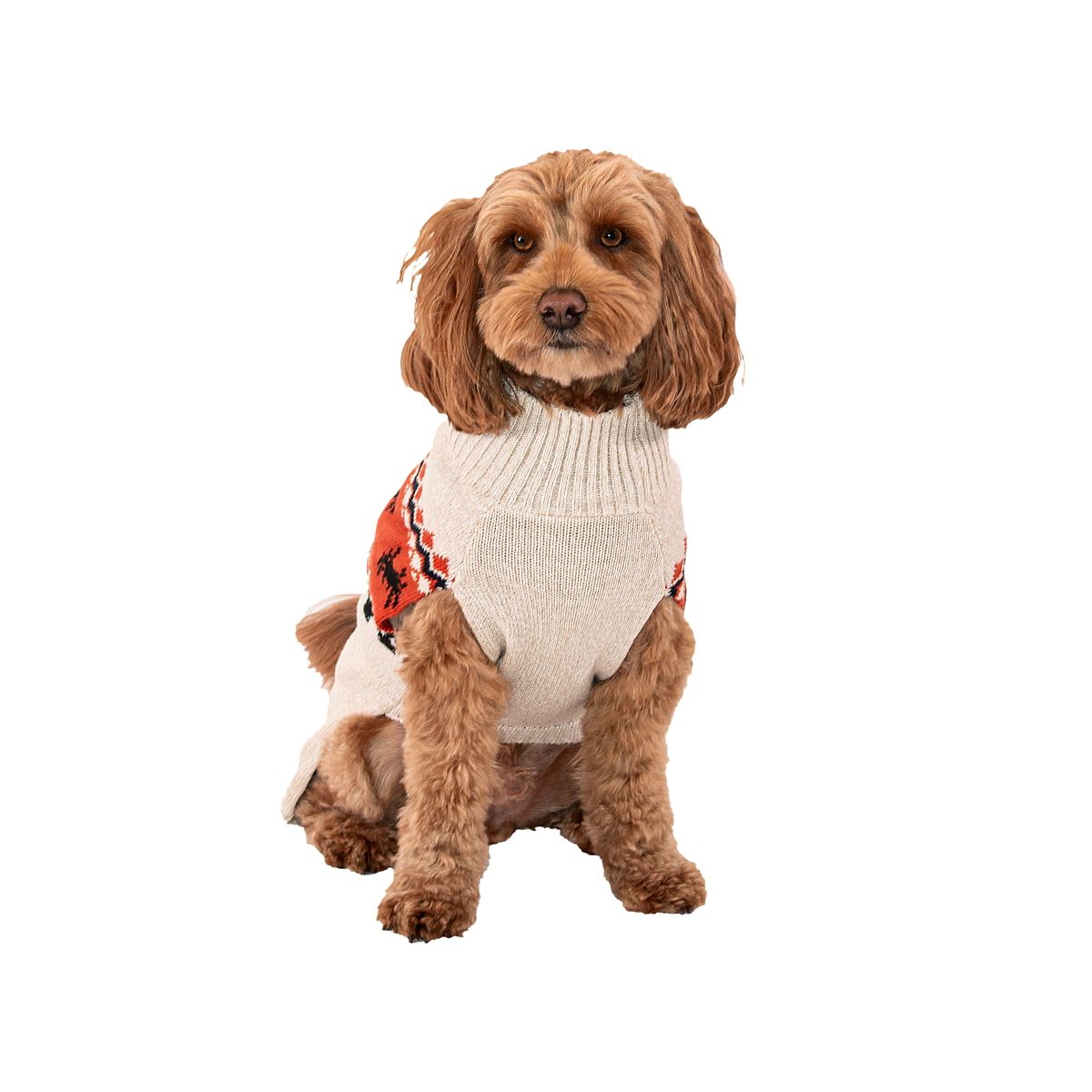 Pumpkin Pet Sweater BEIGE