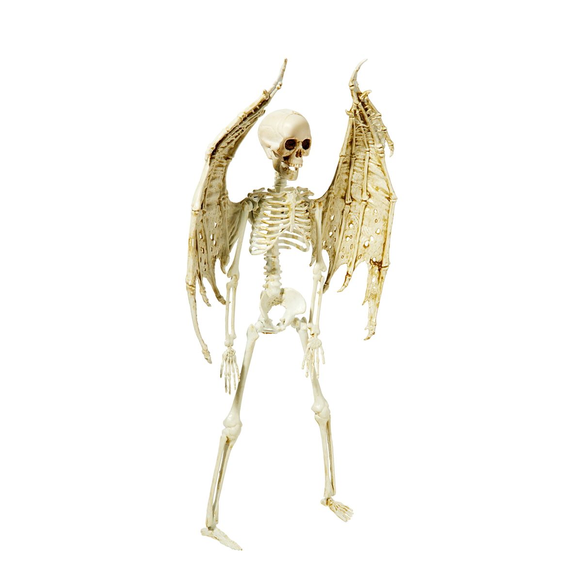 Angel Skeleton Static Prop