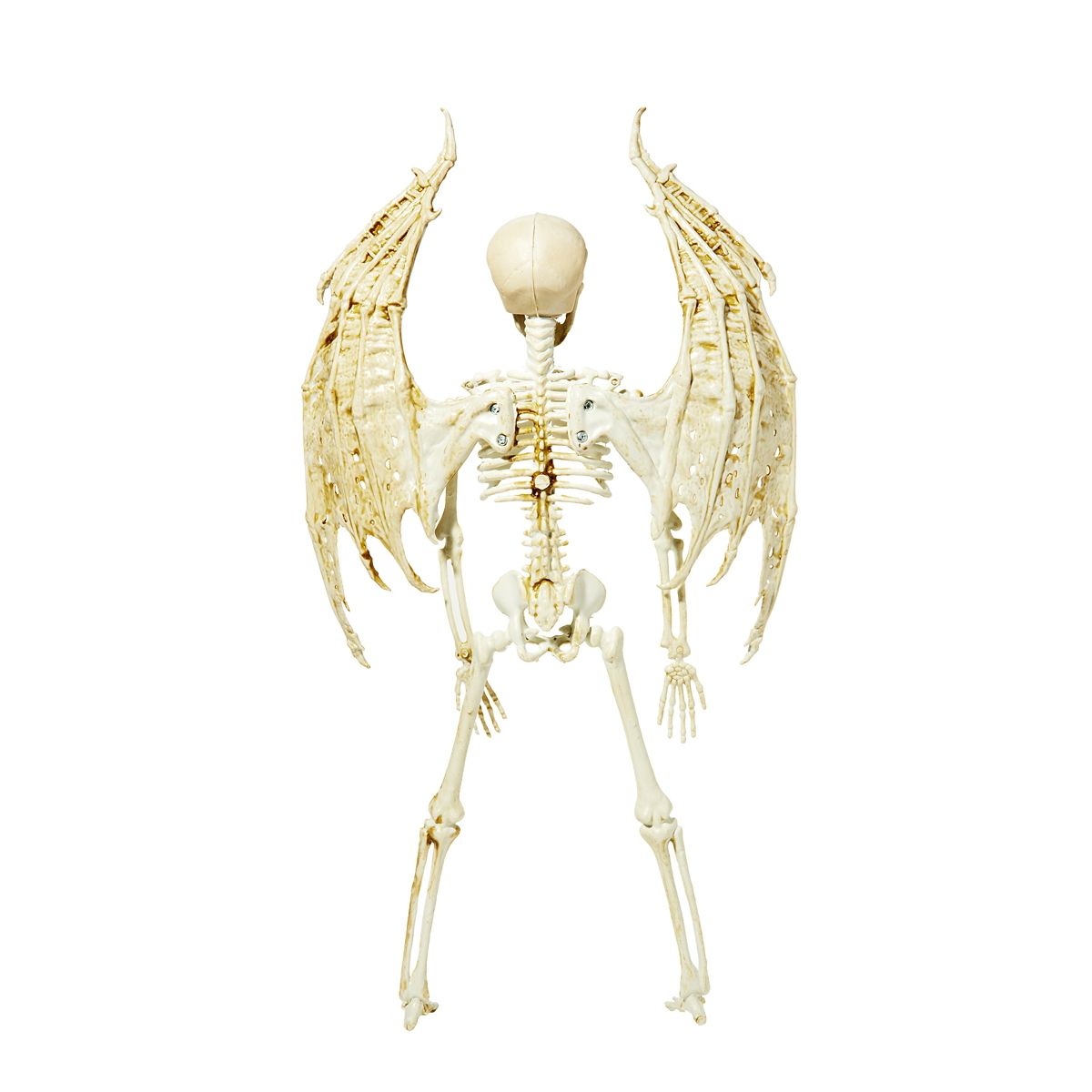 Angel Skeleton Static Prop