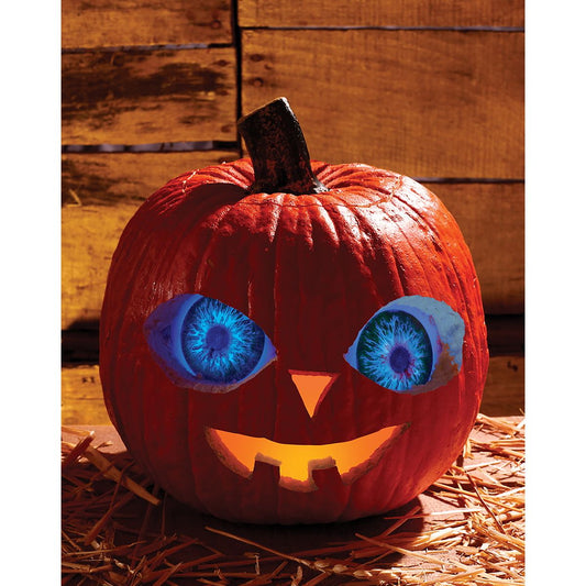 Blue Pumpkin Eyes MULTI-COLOR