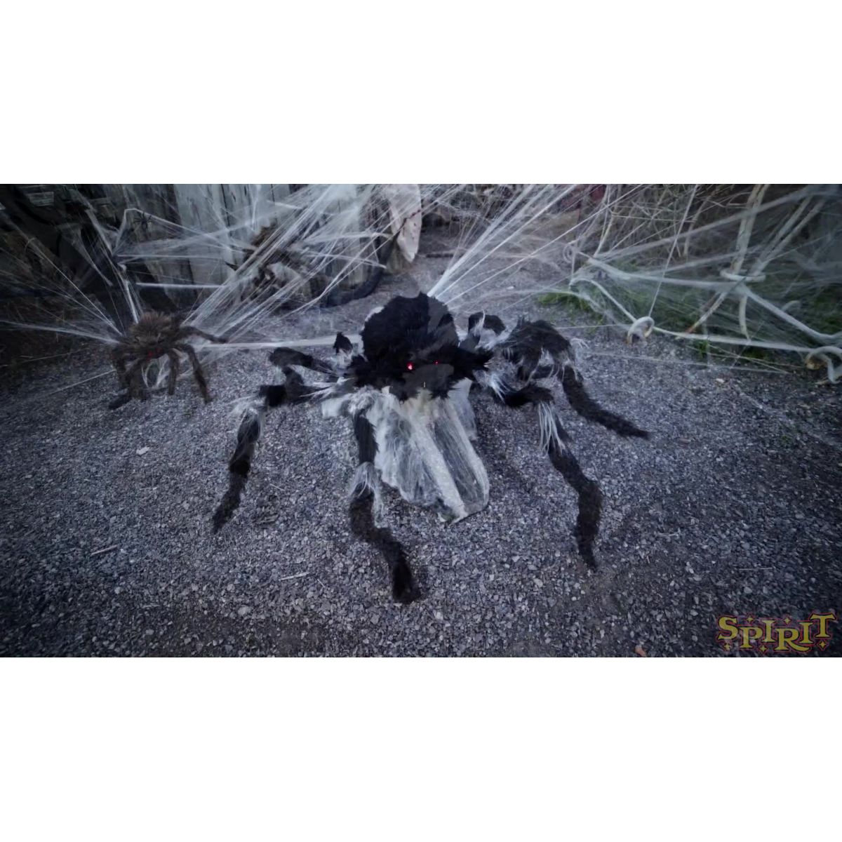 21 In LED Black Jumping Spider Animatronic BLACK