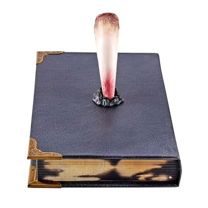 Tom Riddle's Diary Book Box - Harry Potter MULTI-COLOR