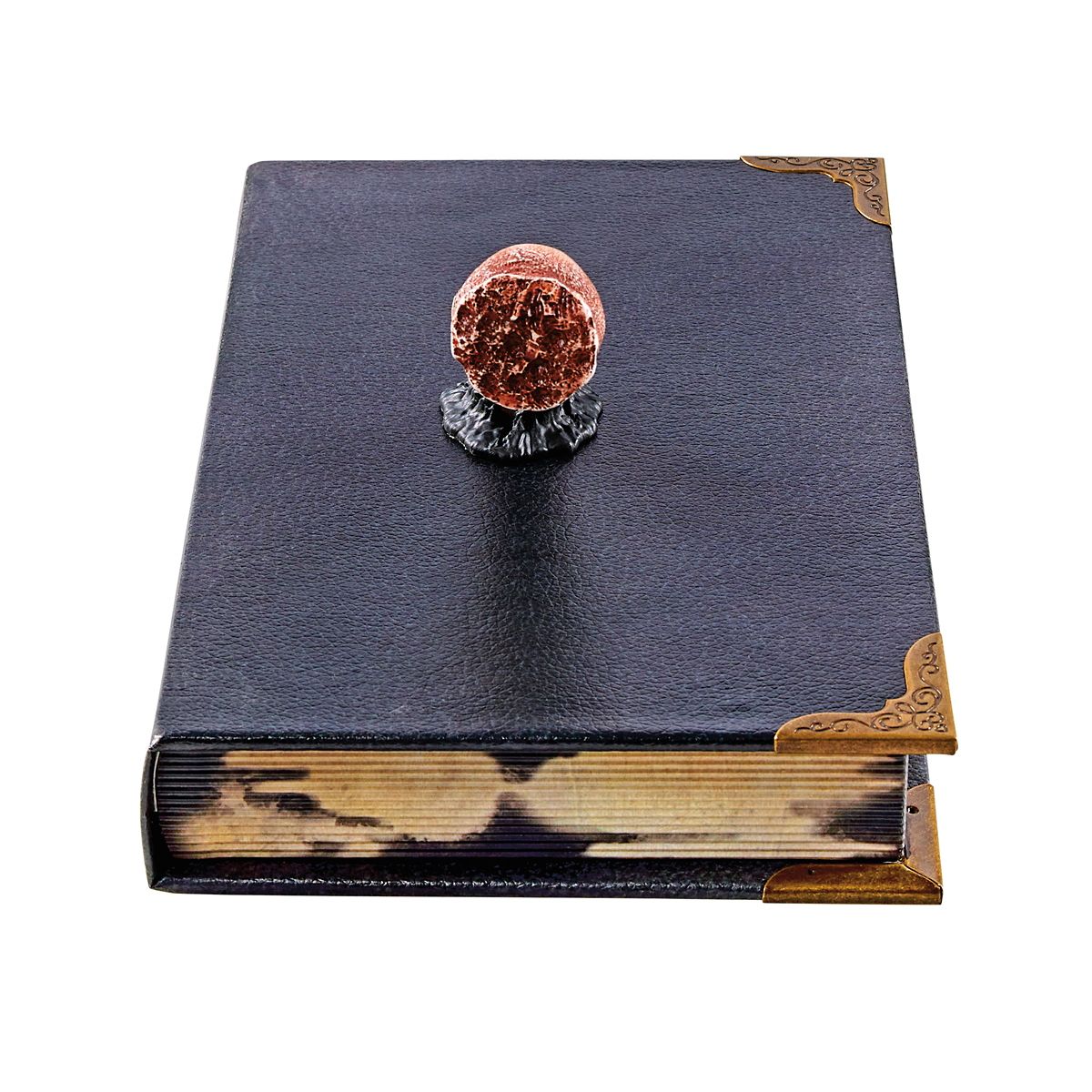 Tom Riddle's Diary Book Box - Harry Potter MULTI-COLOR