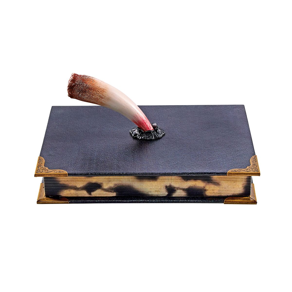 Tom Riddle's Diary Book Box - Harry Potter MULTI-COLOR