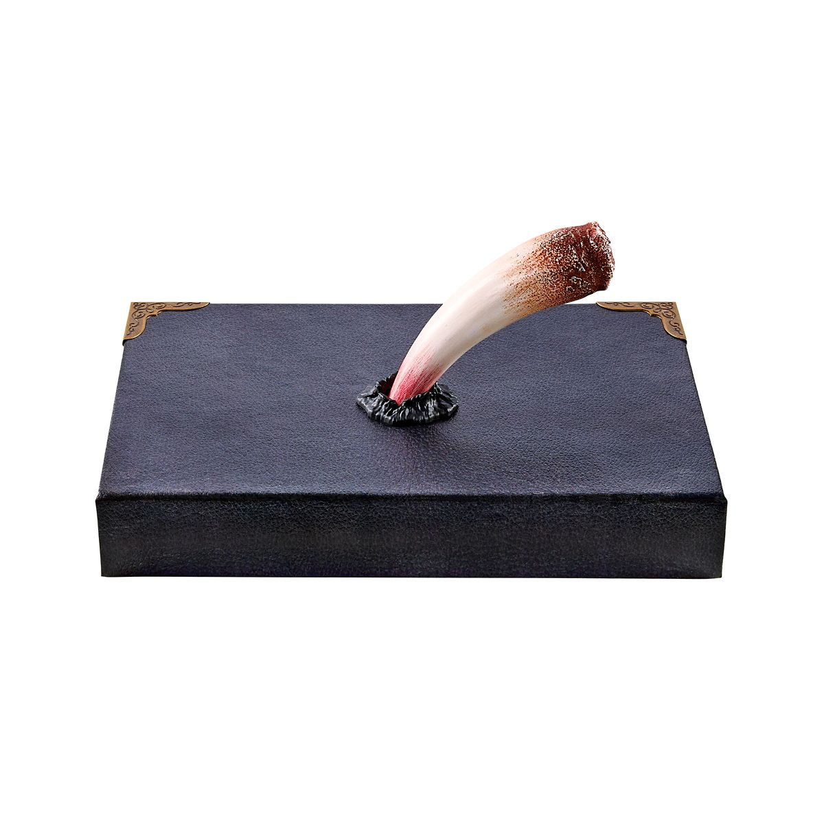 Tom Riddle's Diary Book Box - Harry Potter MULTI-COLOR