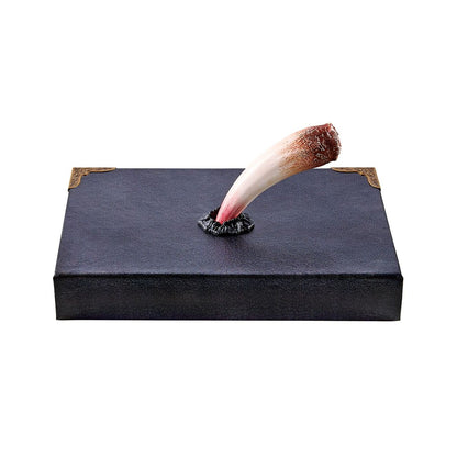 Tom Riddle's Diary Book Box - Harry Potter MULTI-COLOR
