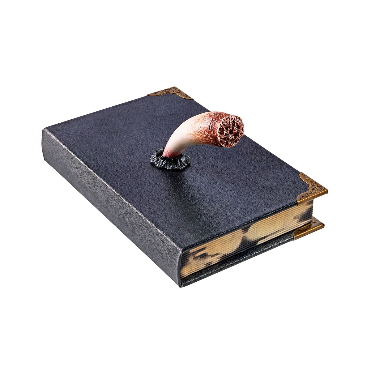 Tom Riddle's Diary Book Box - Harry Potter MULTI-COLOR