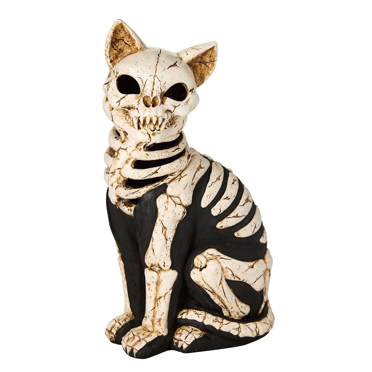 Mystical Arts Light-Up Skeleton Cat BLACK / MULTI