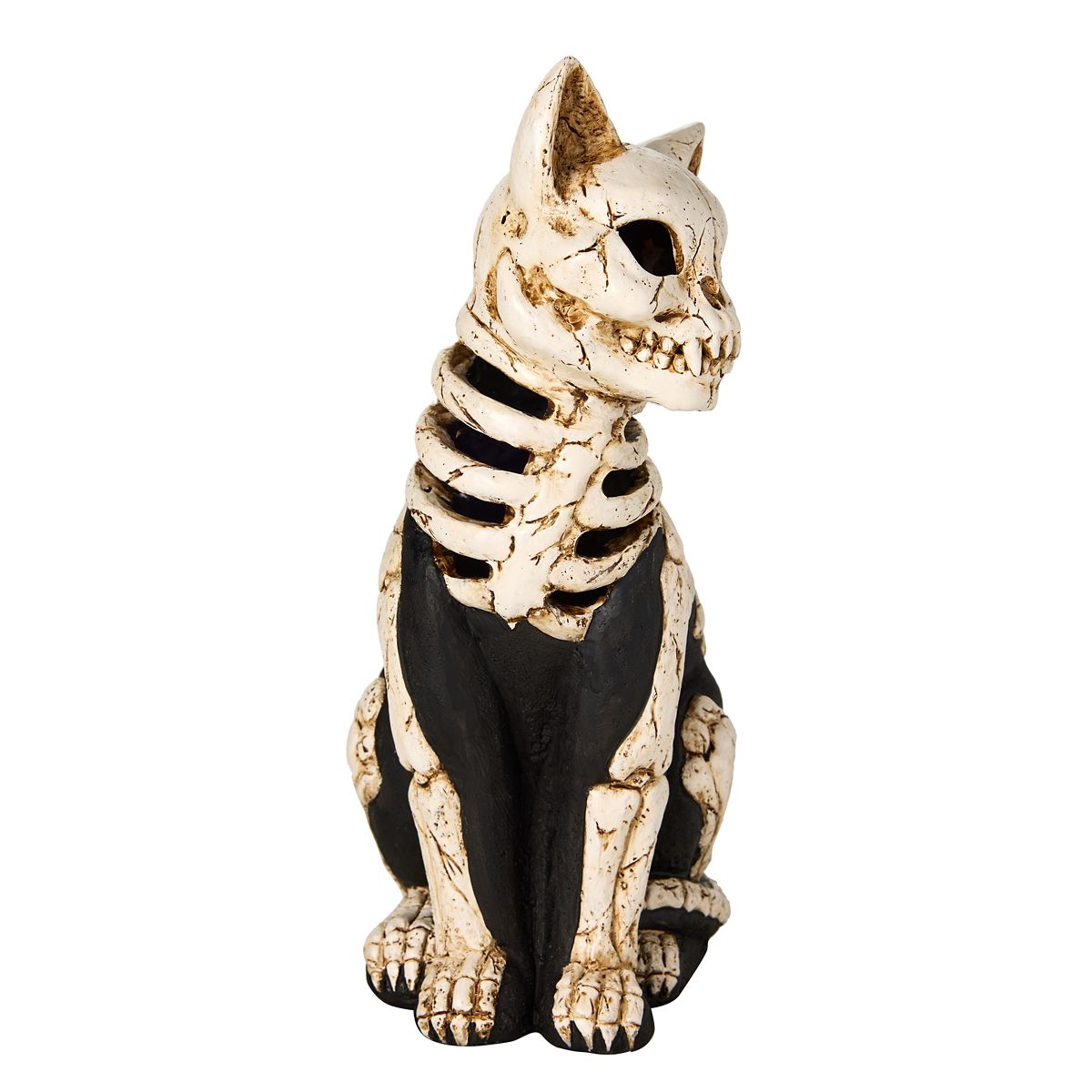 Mystical Arts Light-Up Skeleton Cat BLACK / MULTI