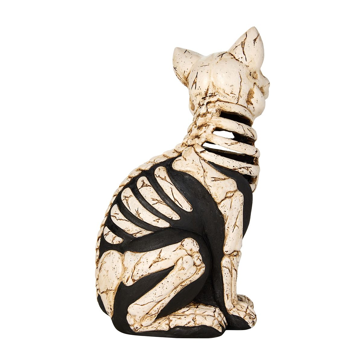 Mystical Arts Light-Up Skeleton Cat BLACK / MULTI