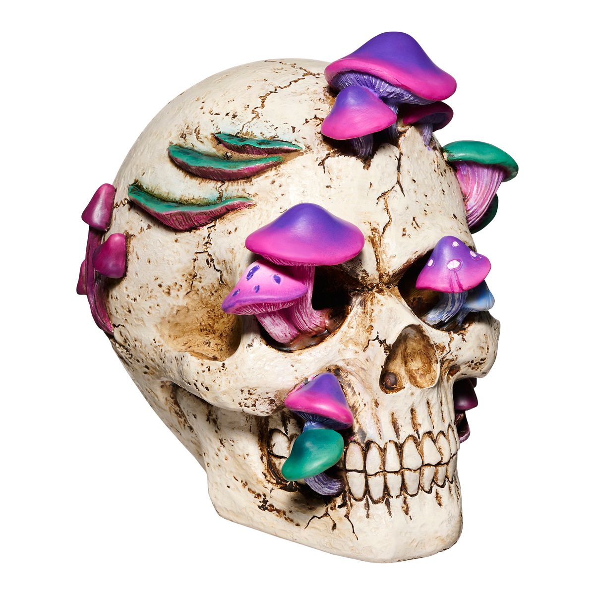 Mystical Arts Mushroom Skull MULTI-COLOR