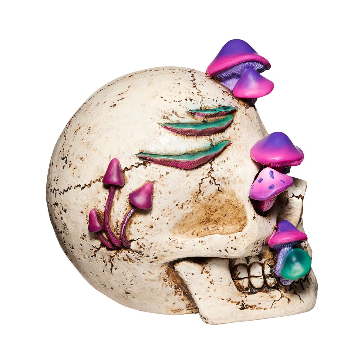 Mystical Arts Mushroom Skull MULTI-COLOR