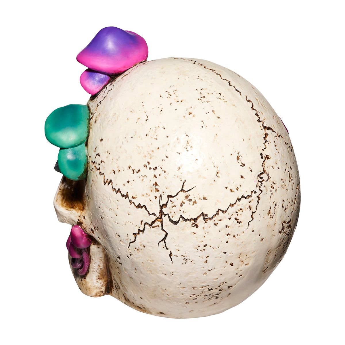 Mystical Arts Mushroom Skull MULTI-COLOR