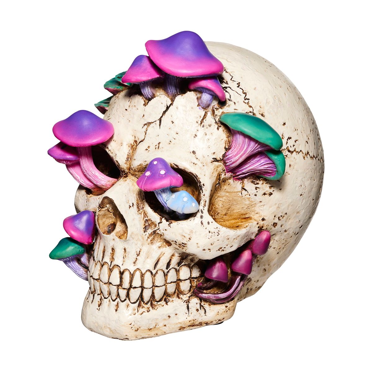 Mystical Arts Mushroom Skull MULTI-COLOR