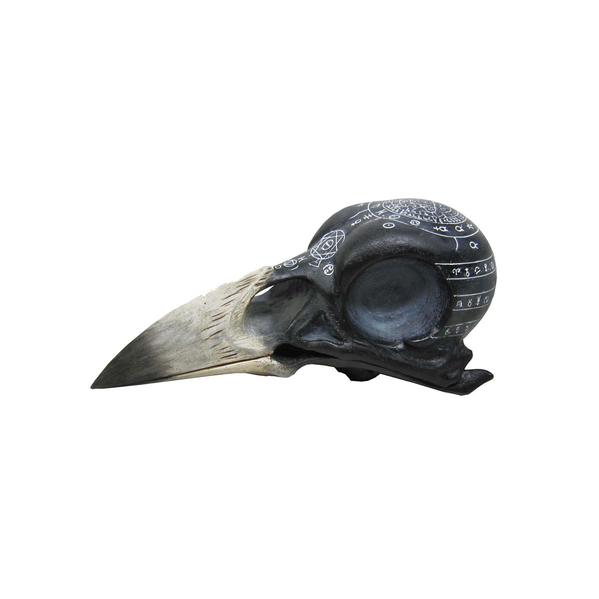 Mystical Arts Crow Skull MULTI-COLOR