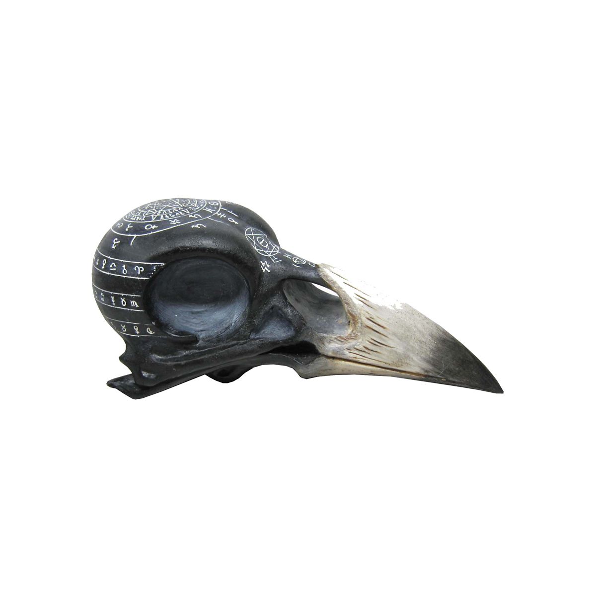 Mystical Arts Crow Skull MULTI-COLOR