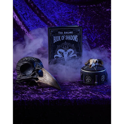 Mystical Arts Crow Skull MULTI-COLOR