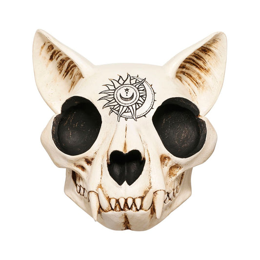 Mystical Arts Cat Skull MULTI-COLOR