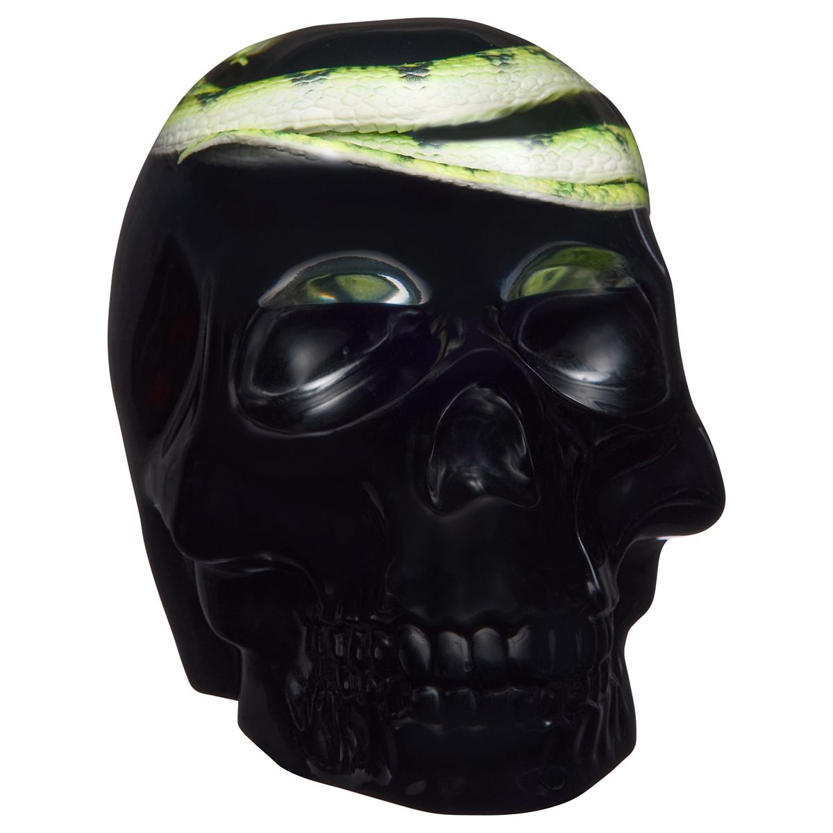 Enchanted Shadows Snake Skull MULTI-COLOR
