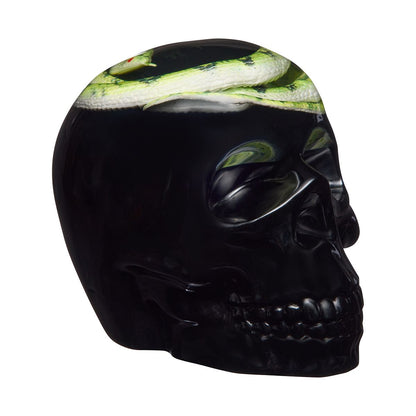 Enchanted Shadows Snake Skull MULTI-COLOR